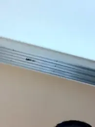 IroManager stripchat stream image