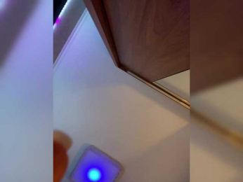 PALMIIRA bongacams stream image