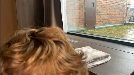 Aurora_Asti stripchat stream image