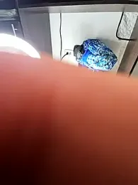 big_pusyy stripchat stream image