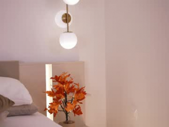 dovia chaturbate stream image