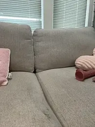 LoveShae_ stripchat stream image