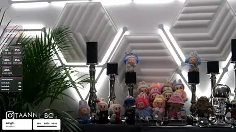 taanni_bc stripchat stream image