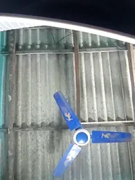 hotbaby_5 stripchat stream image