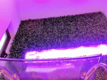 hotfallingdevil chaturbate stream image