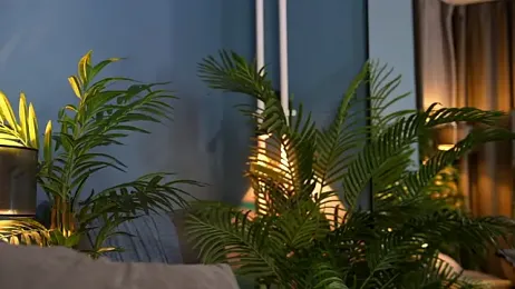 _keeti_ stripchat stream image