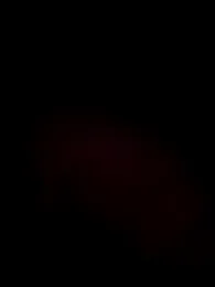 Xixi-Gala stripchat stream image