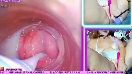 MaryBrook1 stripchat stream image