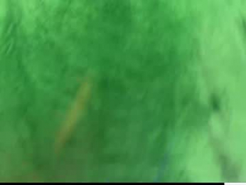 laurenbrite chaturbate stream image