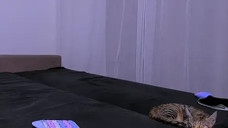 LadyTrep stripchat stream image