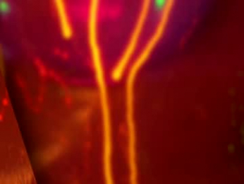 heybanan chaturbate stream image