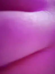 _arabica_ stripchat stream image