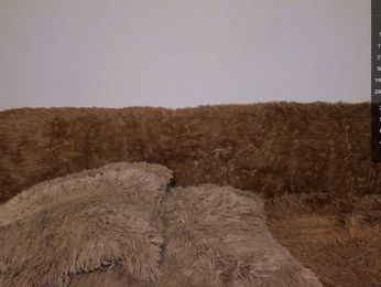 Tina_may bongacams stream image