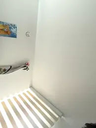 anli5 stripchat stream image