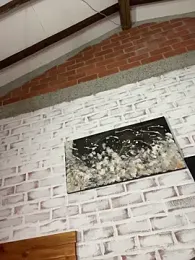 sofi_johansson stripchat stream image