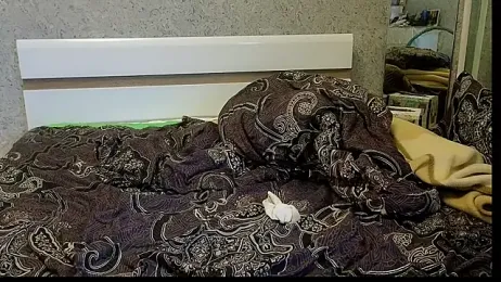 DemiDee stripchat stream image