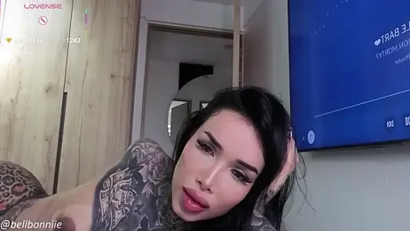 belllbonniie stripchat stream image