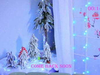 -ANN bongacams stream image