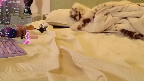 MilkMeSoftly stripchat stream image