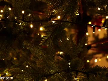 ms_seductive chaturbate stream image