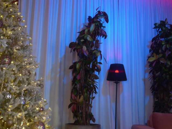 EvaFashionista bongacams stream image