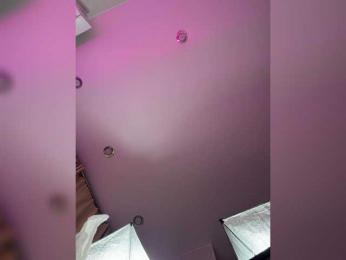 Madam_koss bongacams stream image