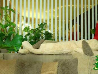 FlowwwerGirl bongacams stream image