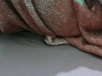 FUN4TIPS stripchat stream image, 01.03.2025 17:30