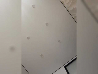 NorbertKlopp bongacams stream image