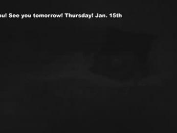 eatmygingersnapps chaturbate stream image, 14.01.2026 15:40