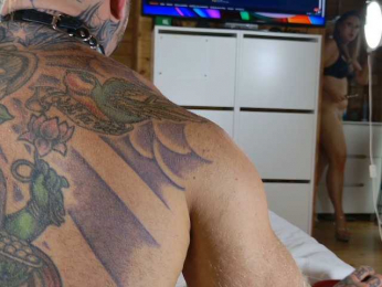 wild41 bongacams stream image