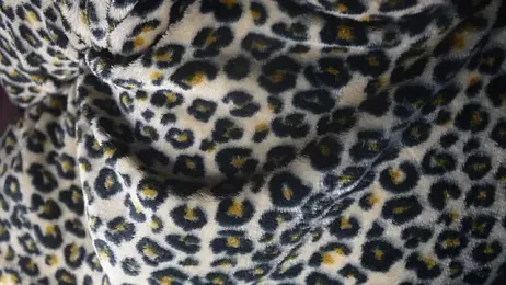 -AyeshaSinghania- stripchat stream image