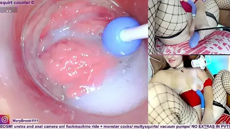 MaryBrook1 stripchat stream image