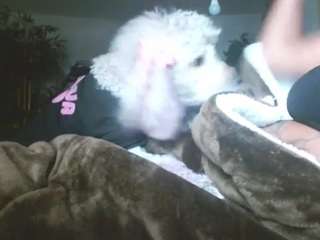 liquidfire camsoda stream image