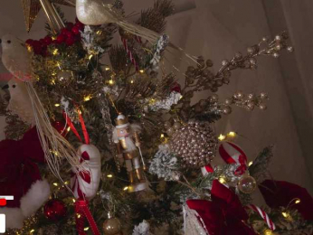 Taanni bongacams stream image