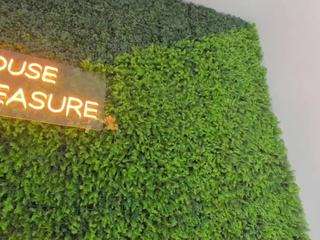 hannacupper camsoda stream image