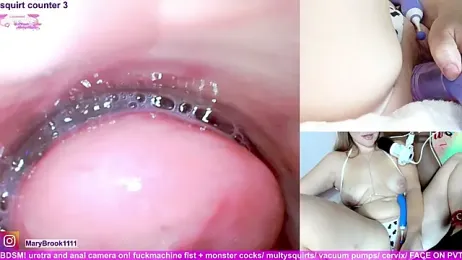 MaryBrook1 stripchat stream image, 09.02.2026 22:10