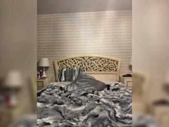 Tiger_07 bongacams stream image