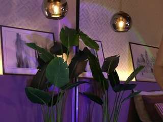 ellediane camsoda stream image