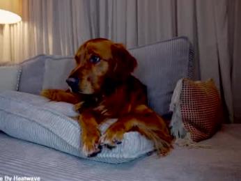 x_lily_x chaturbate stream image