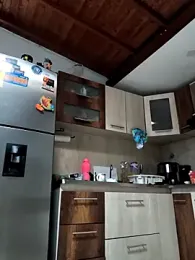 shelby_kutter stripchat stream image