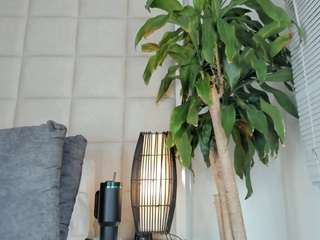 zhuyhong camsoda stream image