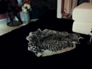 giannalove camsoda stream image