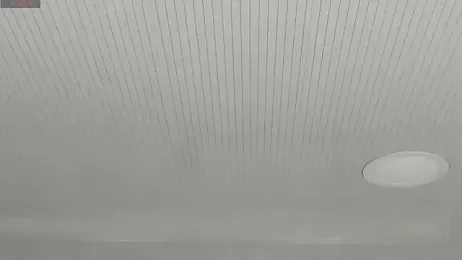 conny__curly stripchat stream image