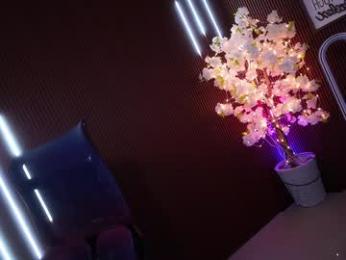 xforyoureyesonlyx chaturbate stream image, 13.03.2026 01:50