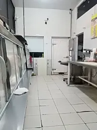 RobertoLuiz84 stripchat stream image