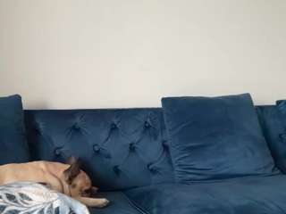 laladoll camsoda stream image