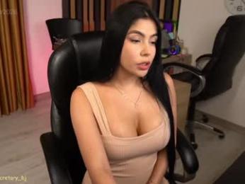 secretary_bj chaturbate stream image, 19.03.2026 20:30