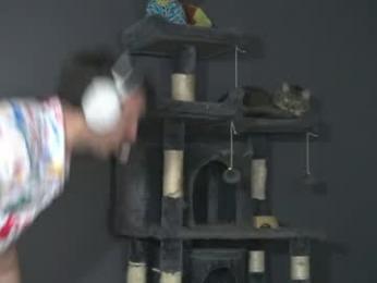 sydaffect chaturbate stream image, 06.04.2026 04:00