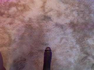 lady-brownn camsoda stream image, 07.04.2026 11:30